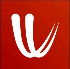 Windy logo